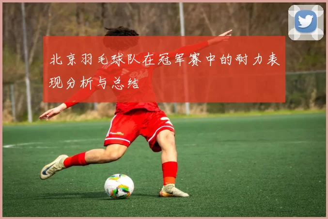 北京羽毛球队在冠军赛中的耐力表现分析与总结
