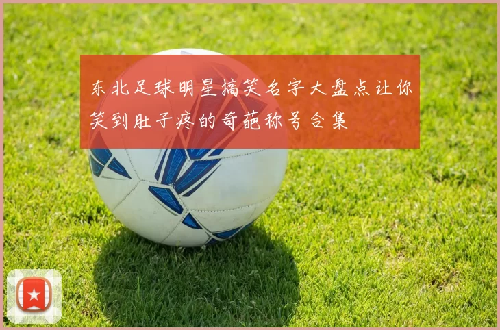 东北足球明星搞笑名字大盘点让你笑到肚子疼的奇葩称号合集