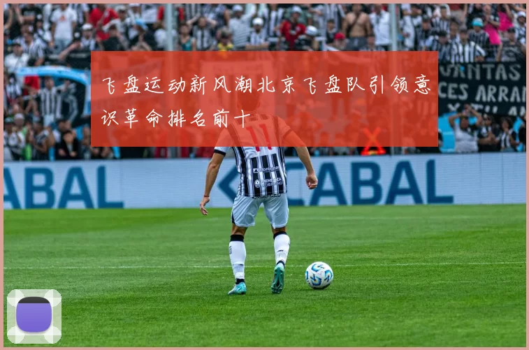 飞盘运动新风潮北京飞盘队引领意识革命排名前十