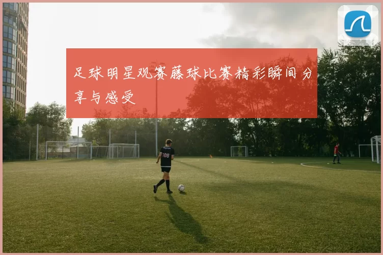 足球明星观赛藤球比赛精彩瞬间分享与感受