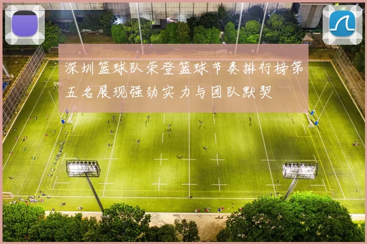 深圳篮球队荣登篮球节奏排行榜第五名展现强劲实力与团队默契
