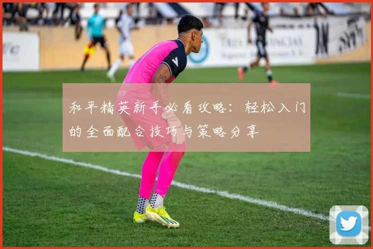 和平精英新手必看攻略：轻松入门的全面配合技巧与策略分享