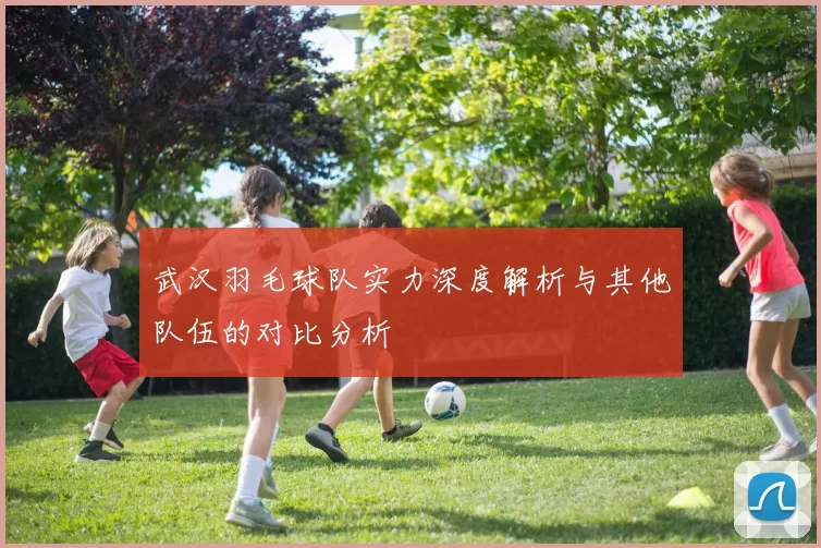 武汉羽毛球队实力深度解析与其他队伍的对比分析