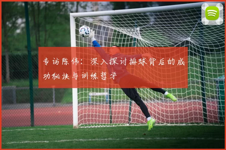 专访陈伟：深入探讨排球背后的成功秘诀与训练哲学