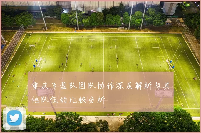 重庆飞盘队团队协作深度解析与其他队伍的比较分析